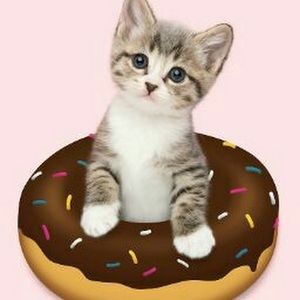 Meet your Posher, Ella